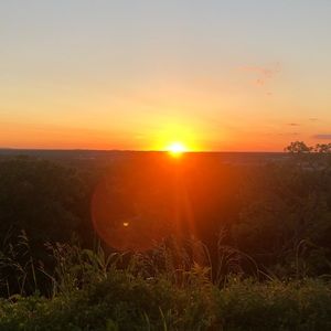 Meet your Posher, Liz